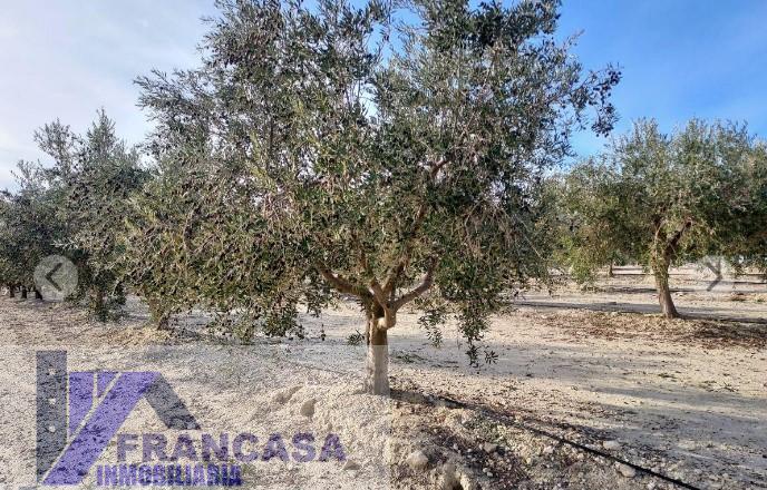 For sale of rural property in Murcia