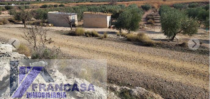 Venta de finca rústica en Murcia