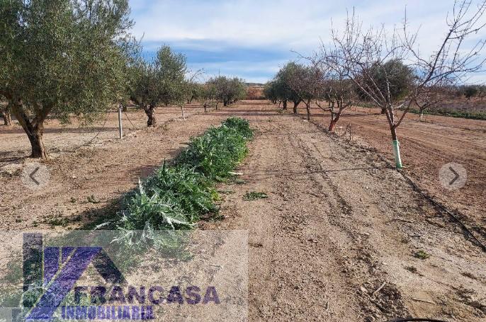 For sale of rural property in El Pinós