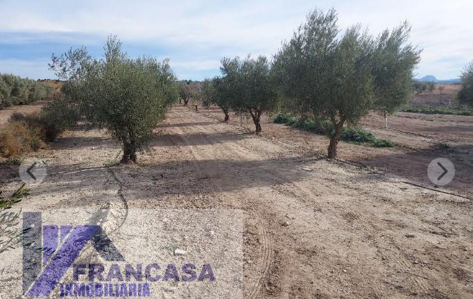 For sale of rural property in El Pinós