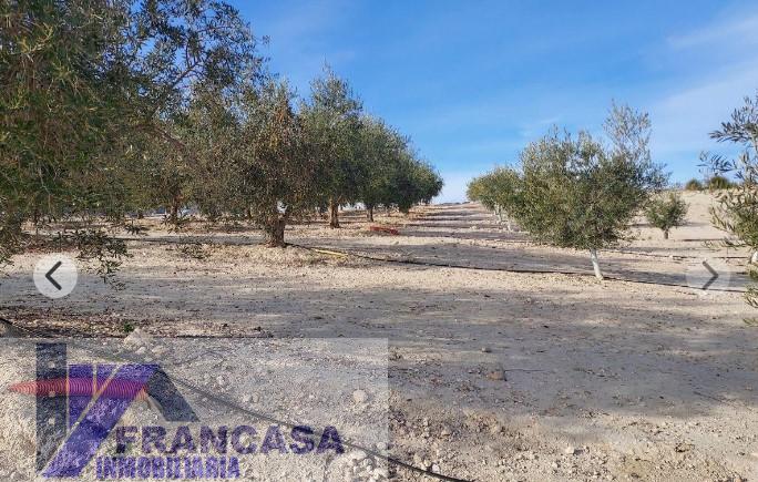For sale of rural property in El Pinós