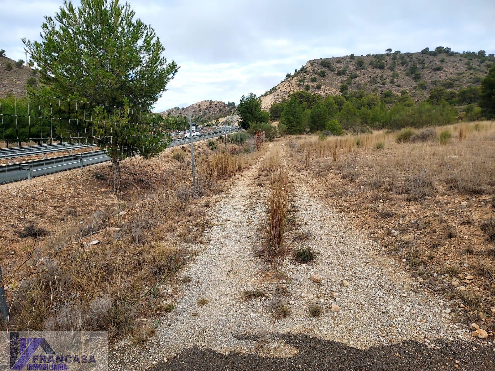 For sale of land in Cieza