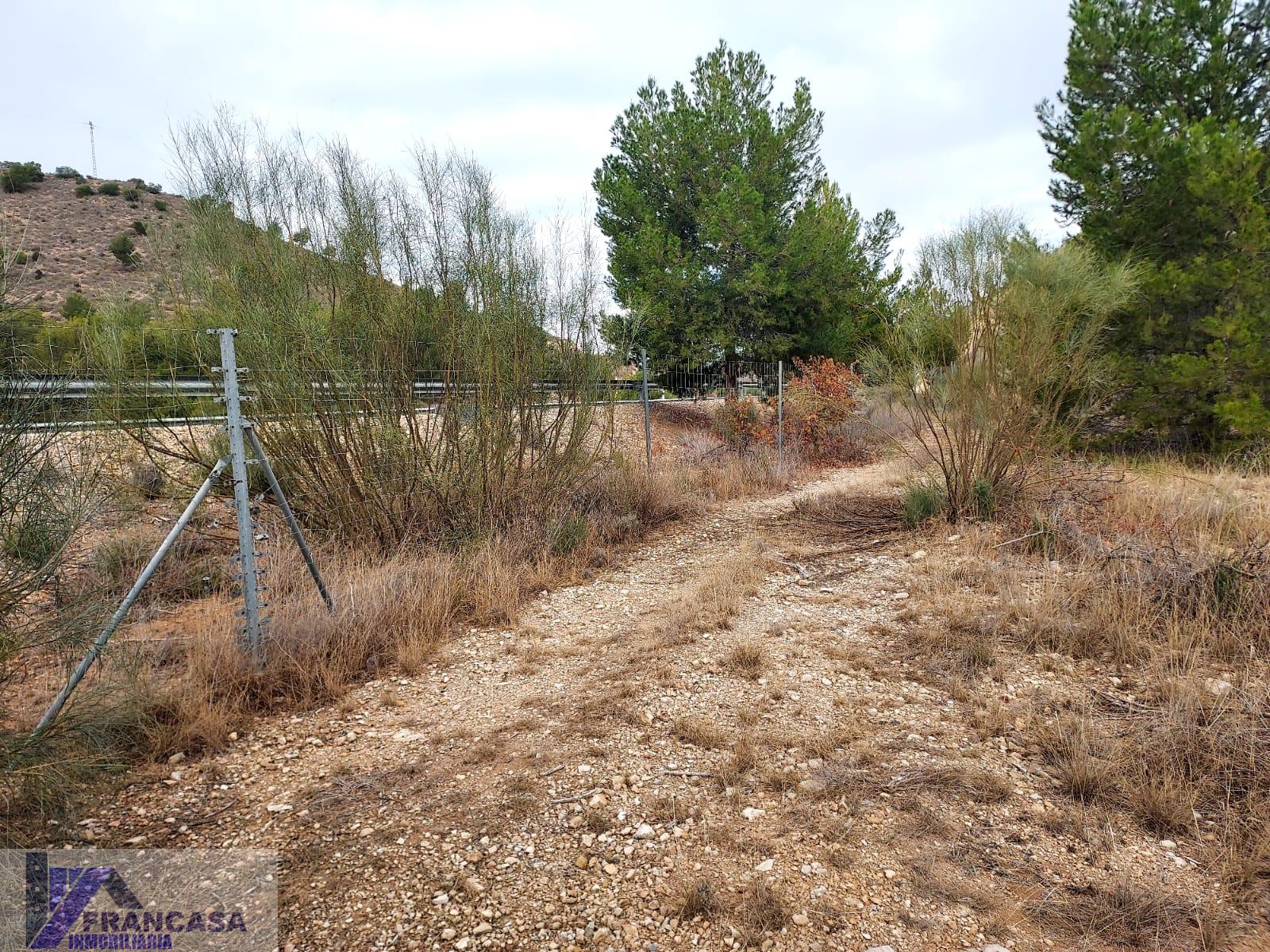 For sale of land in Cieza