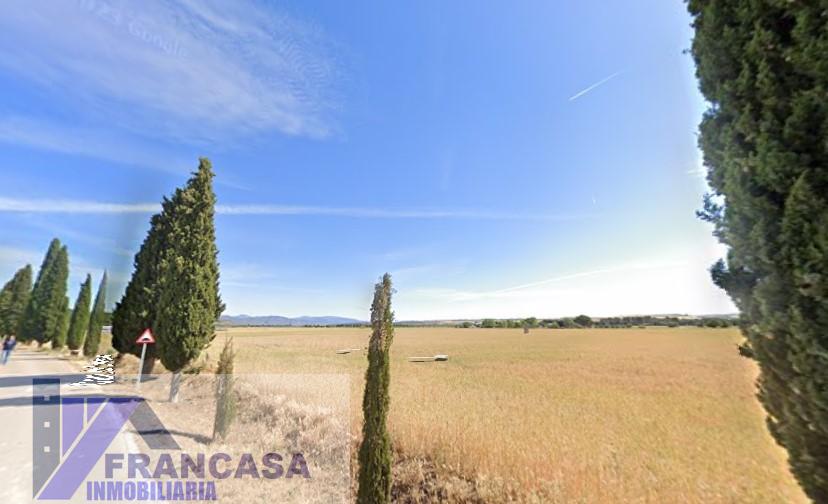 For sale of land in Talamanca de Jarama