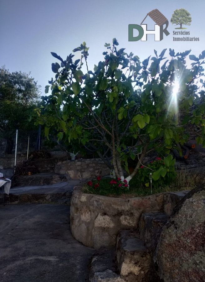 For sale of chalet in Brozas