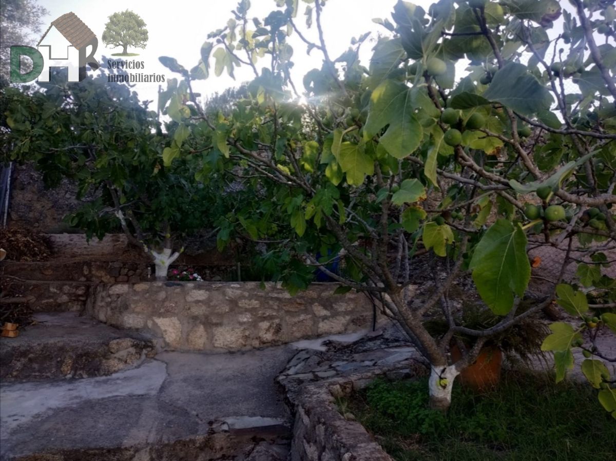 For sale of chalet in Brozas