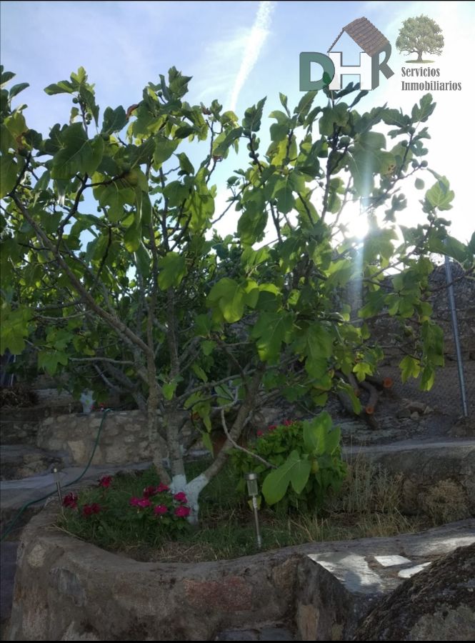 For sale of chalet in Brozas