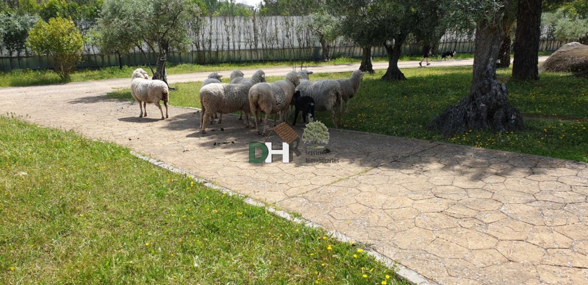 Venta de chalet en Malpartida de Cáceres