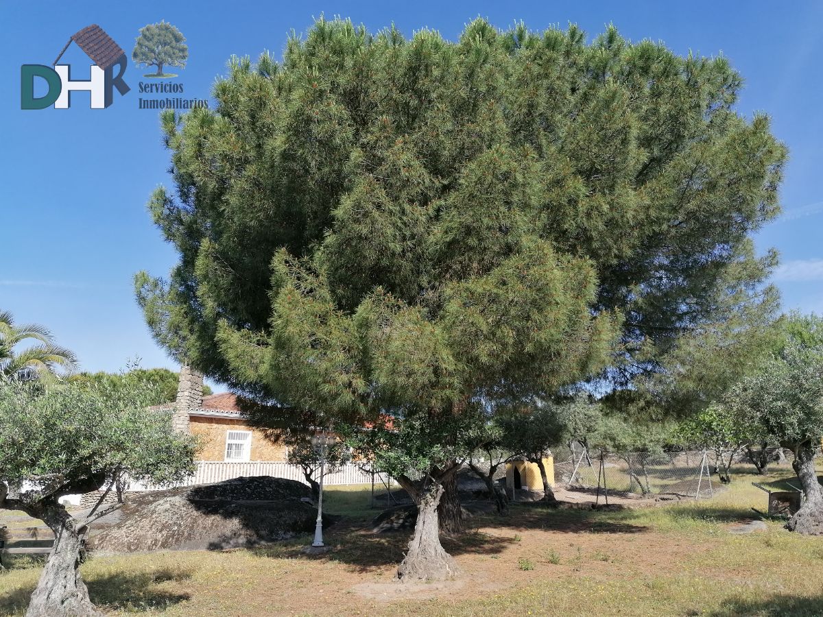 For sale of chalet in Malpartida de Cáceres