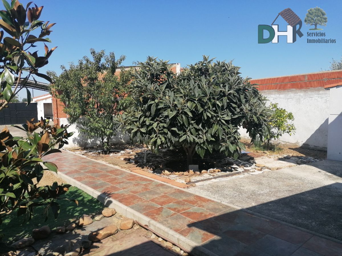 For sale of house in Coria