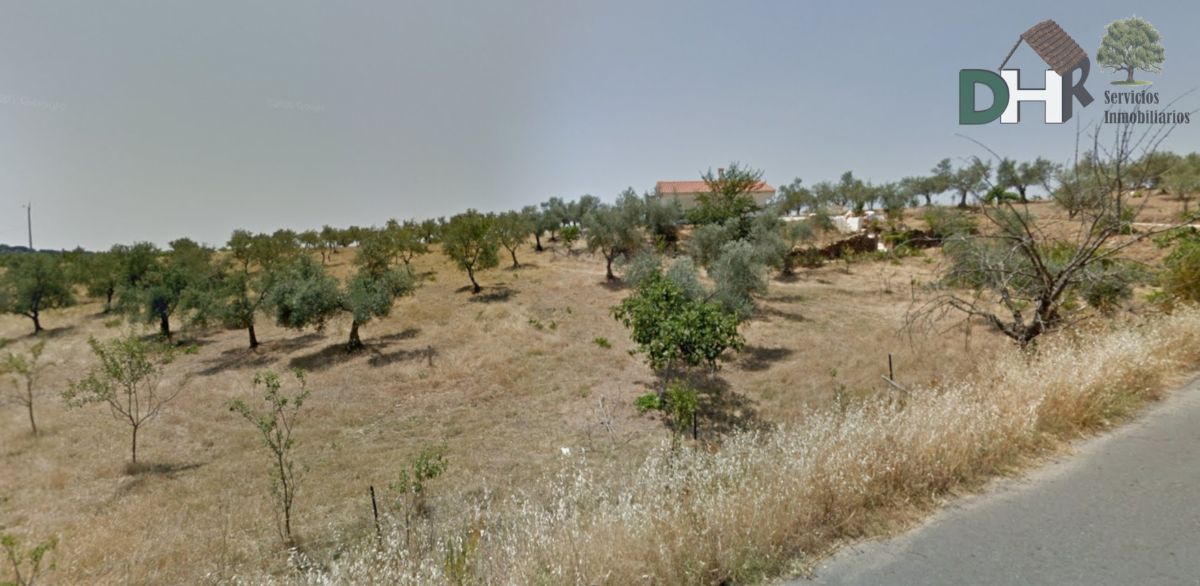 For sale of house in Cañamero