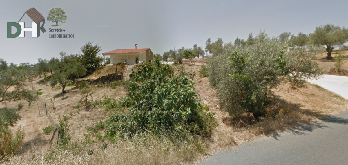 For sale of house in Cañamero