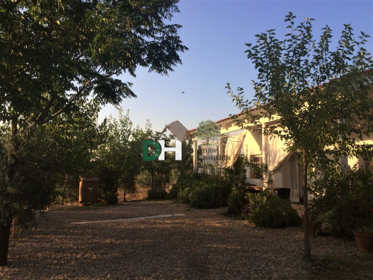 For sale of house in Cañamero
