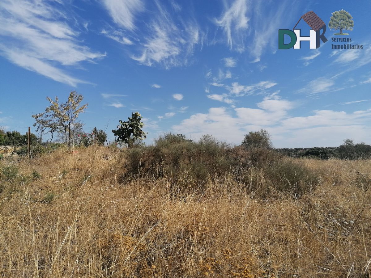 For sale of land in Arroyo de la Luz