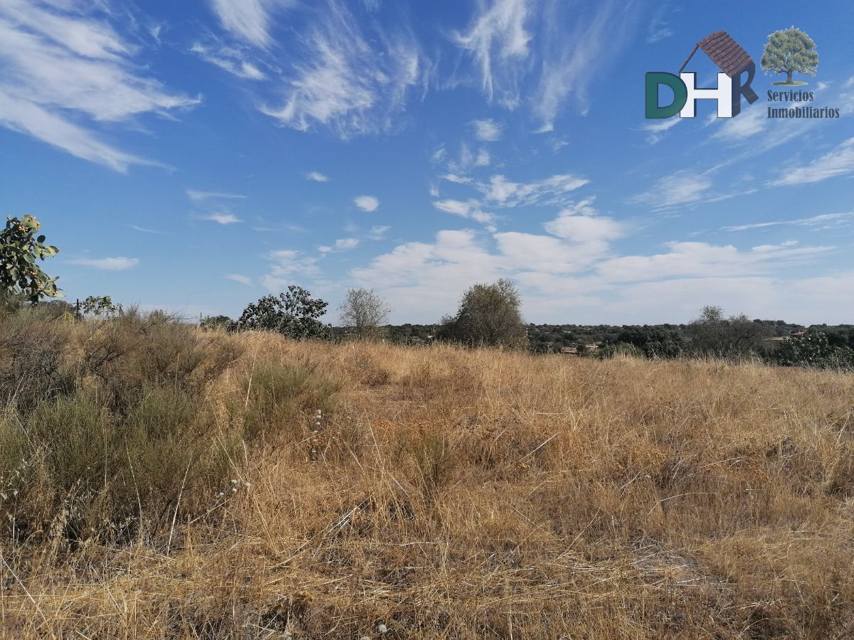 For sale of land in Arroyo de la Luz