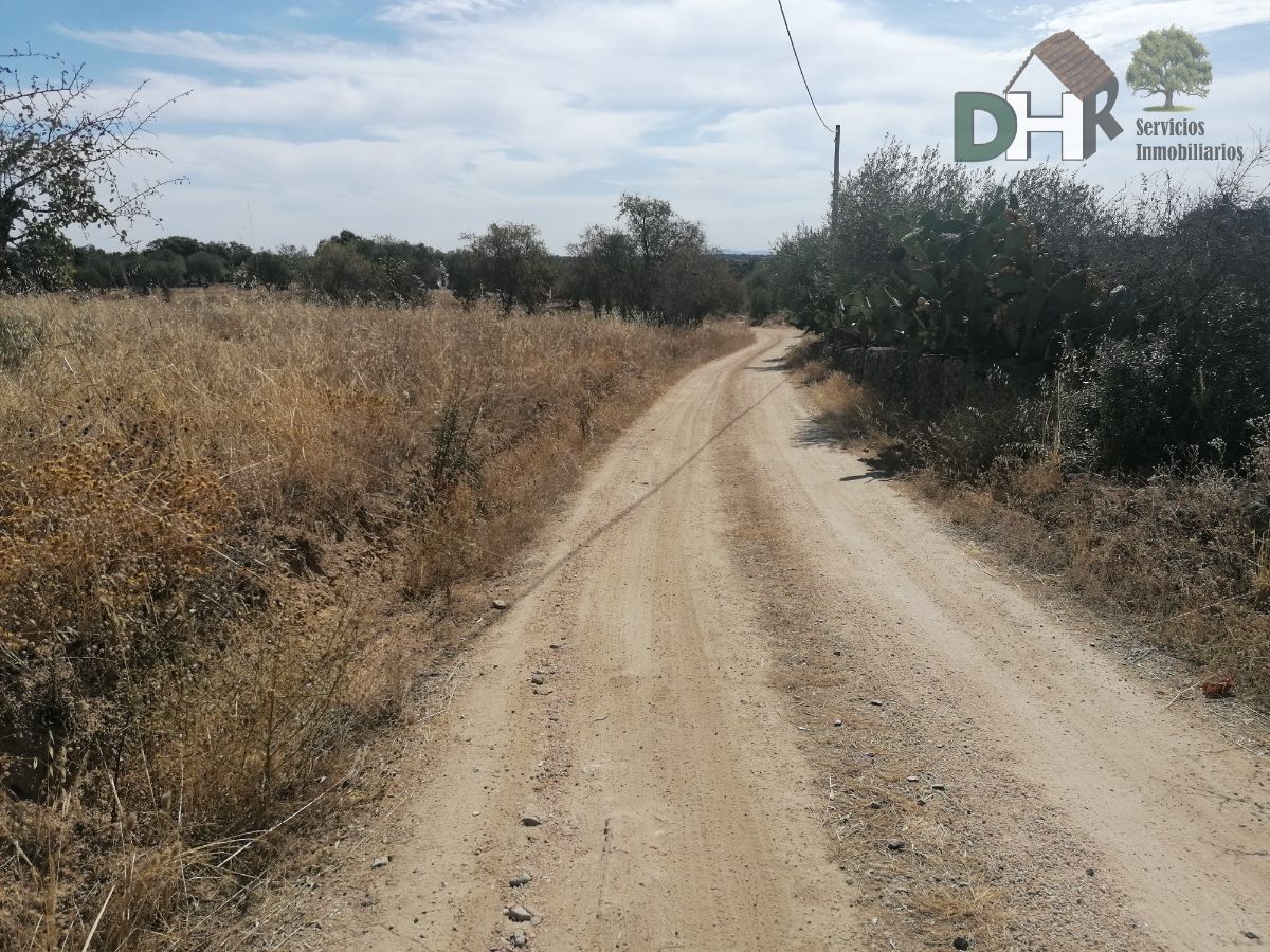 For sale of land in Arroyo de la Luz