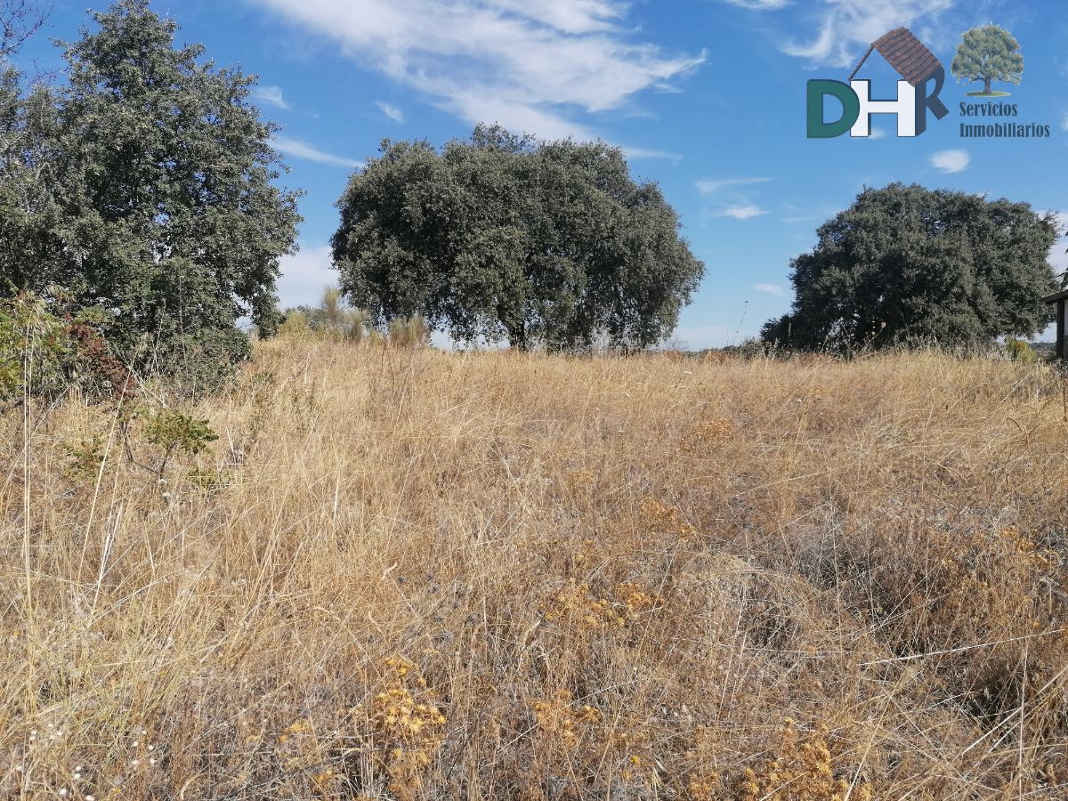 For sale of land in Arroyo de la Luz
