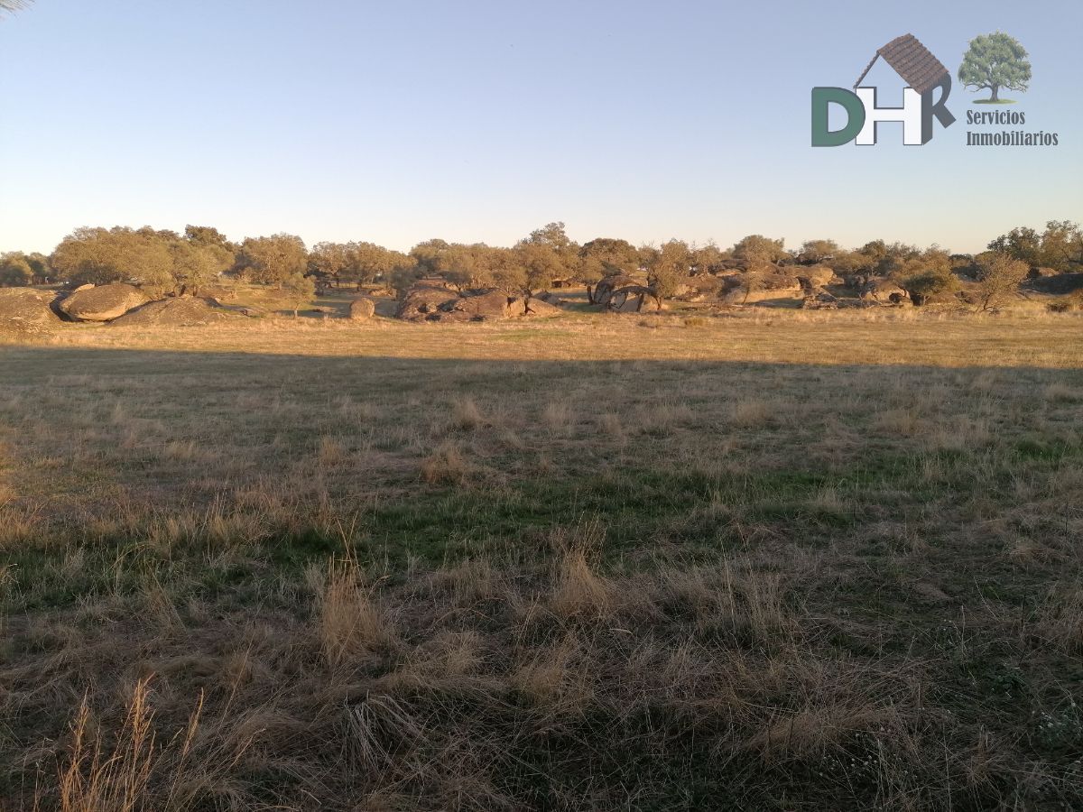 For sale of land in Arroyo de la Luz