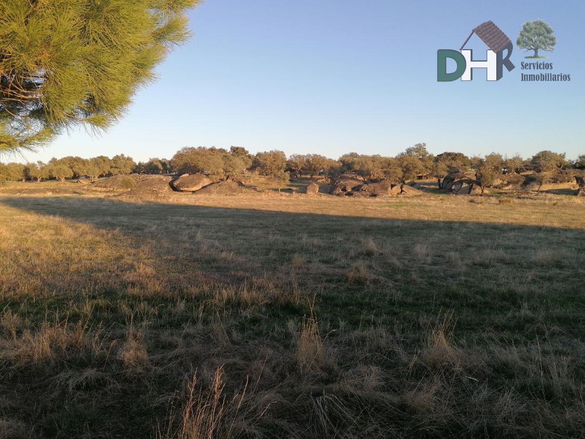 For sale of land in Arroyo de la Luz