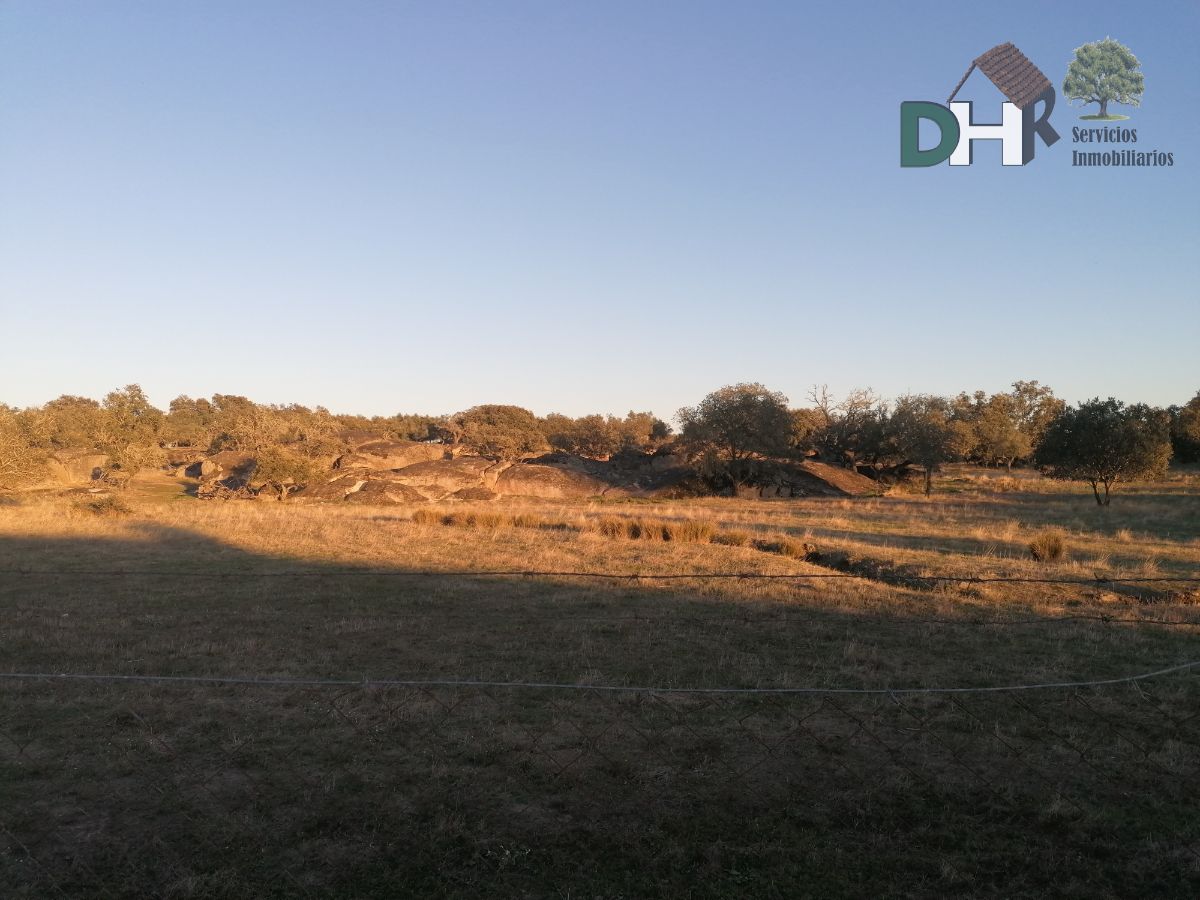 For sale of land in Arroyo de la Luz