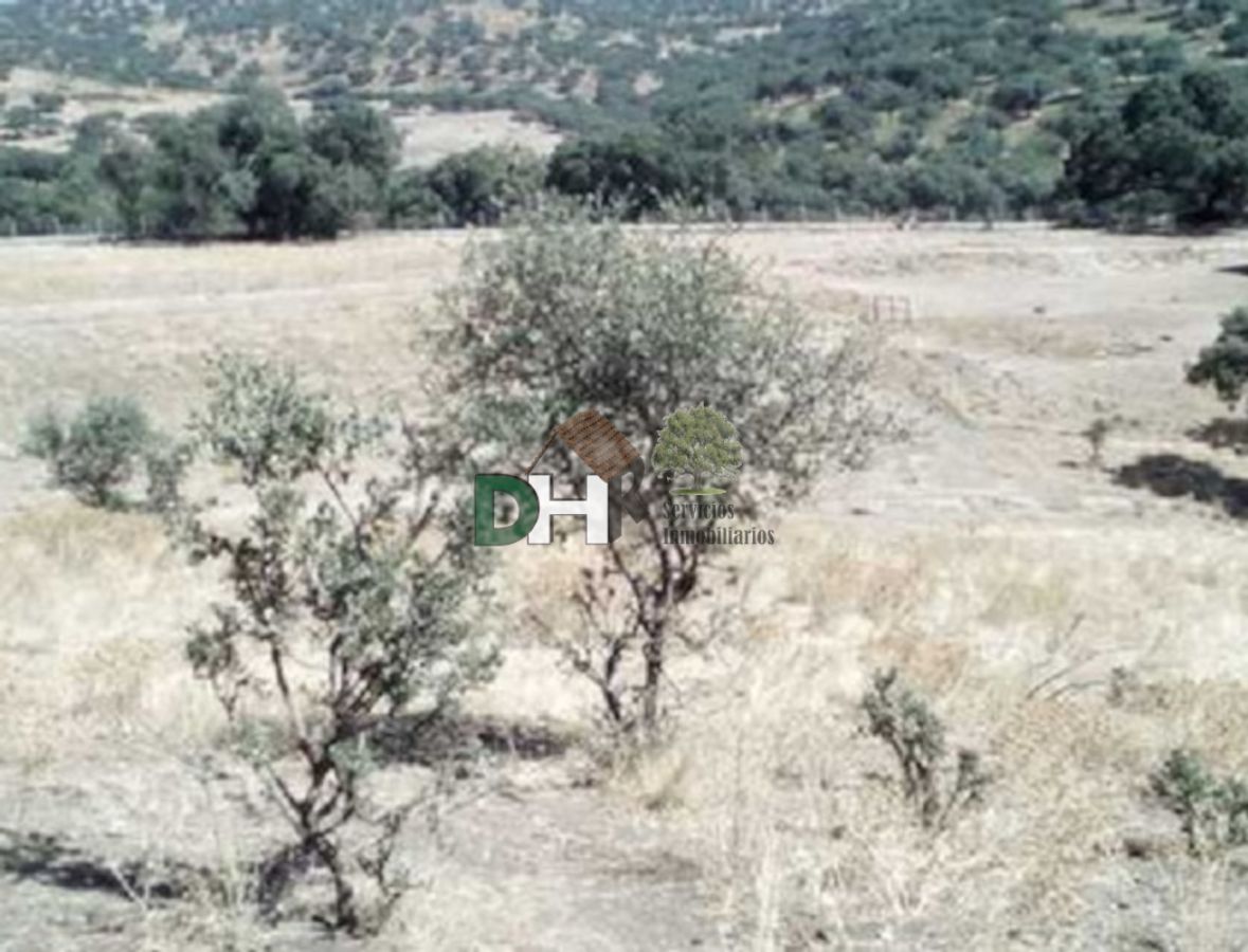 Venta de terreno en Jerez de los Caballeros