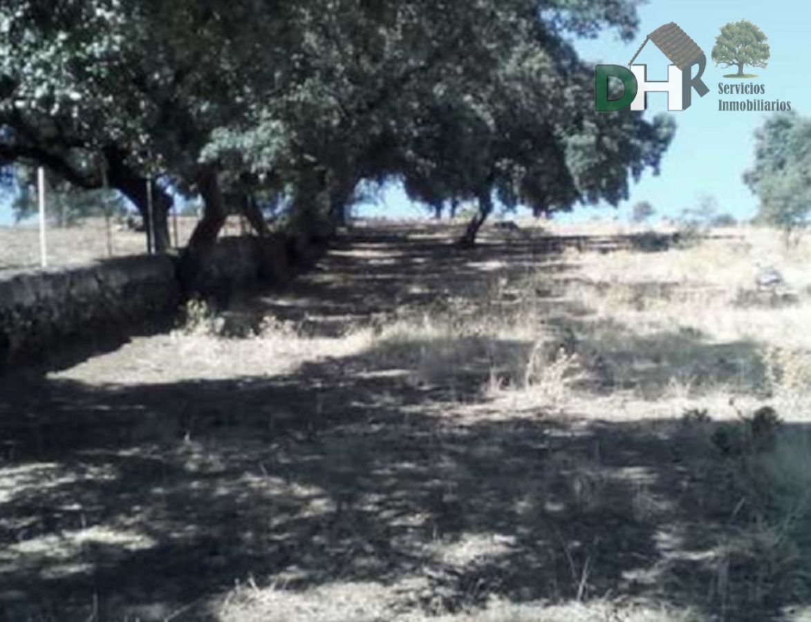 For sale of land in Jerez de los Caballeros