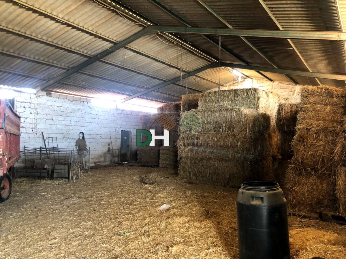 Venta de terreno en Badajoz Venta de terreno en Badajoz