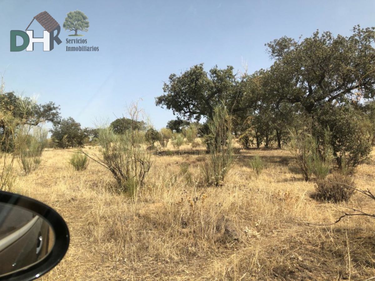 Venta de terreno en Badajoz Venta de terreno en Badajoz