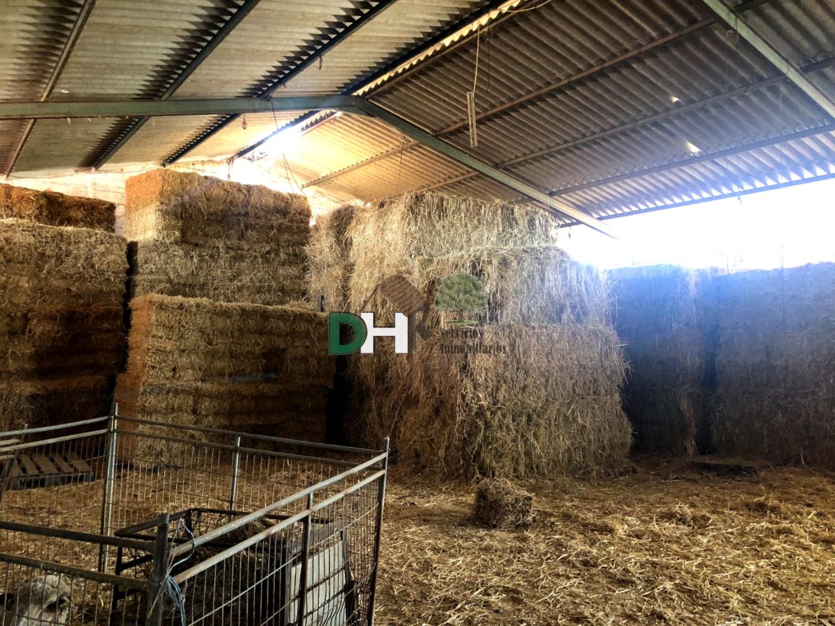 Venta de terreno en Badajoz Venta de terreno en Badajoz