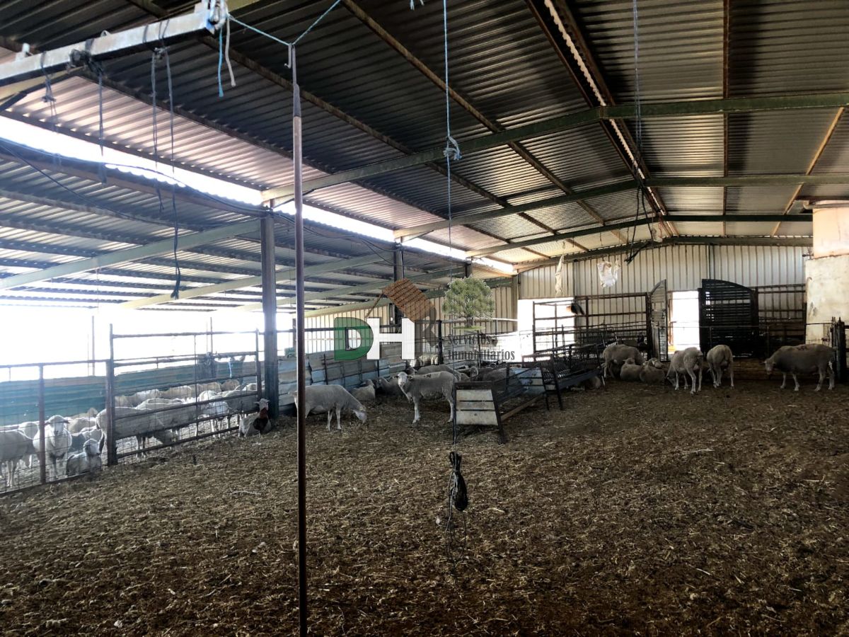 Venta de terreno en Badajoz Venta de terreno en Badajoz