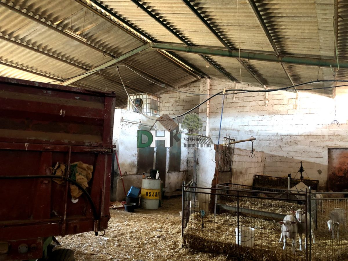 Venta de terreno en Badajoz Venta de terreno en Badajoz