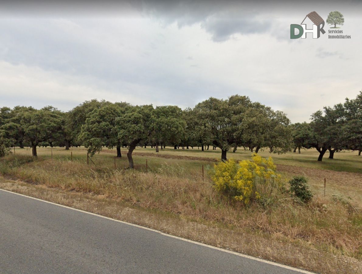 For sale of land in Cáceres