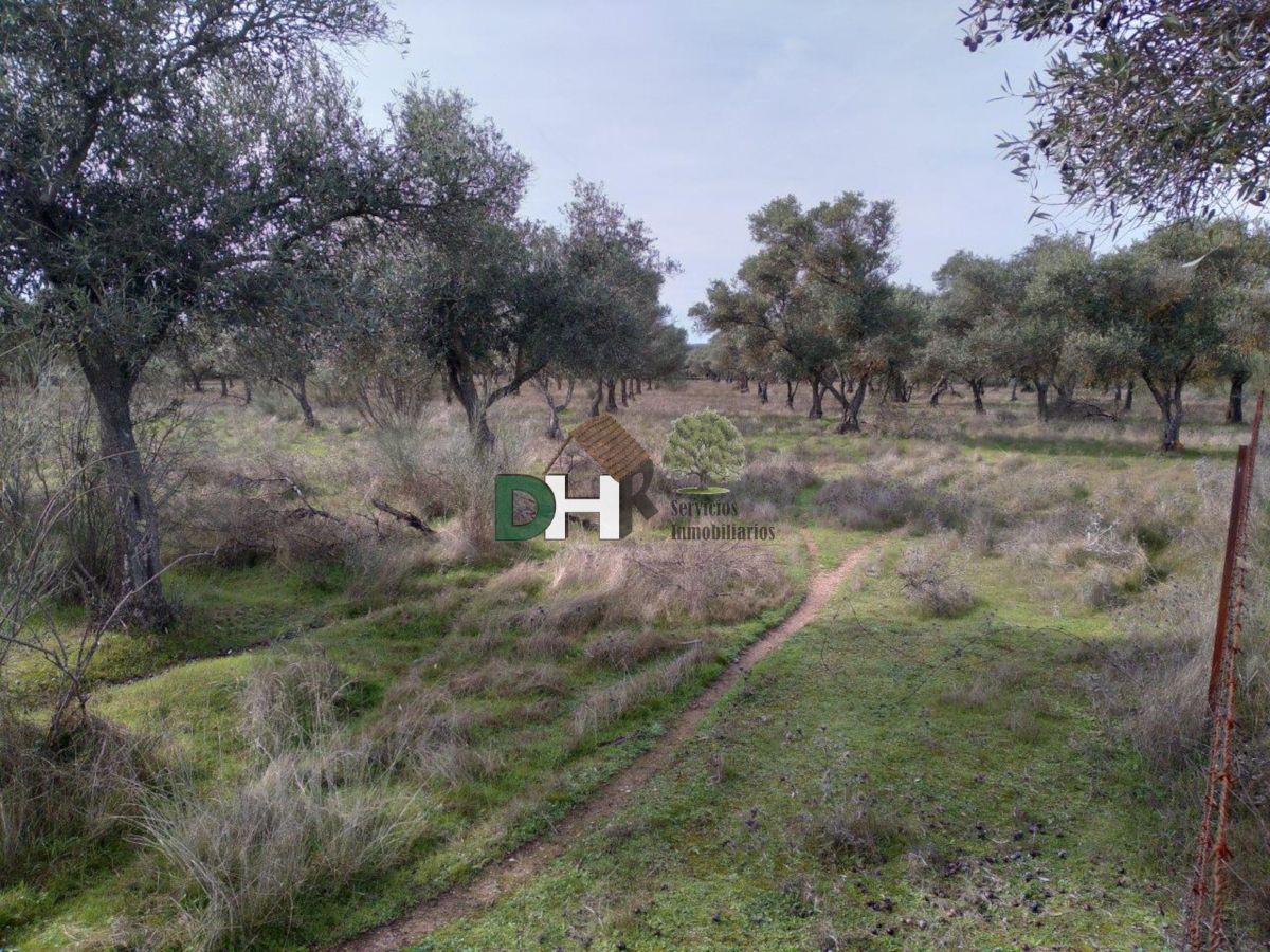 For sale of land in Cáceres