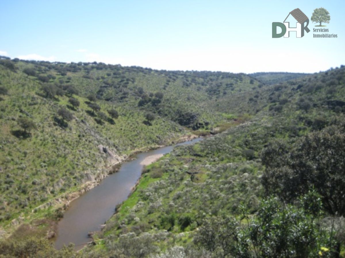 For sale of land in Torrejón el Rubio