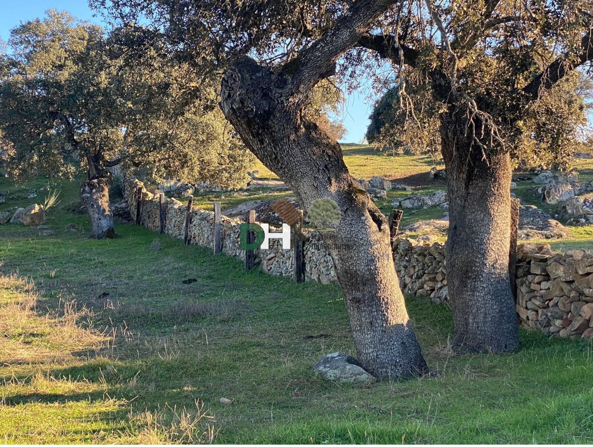 Venta de terreno en Badajoz