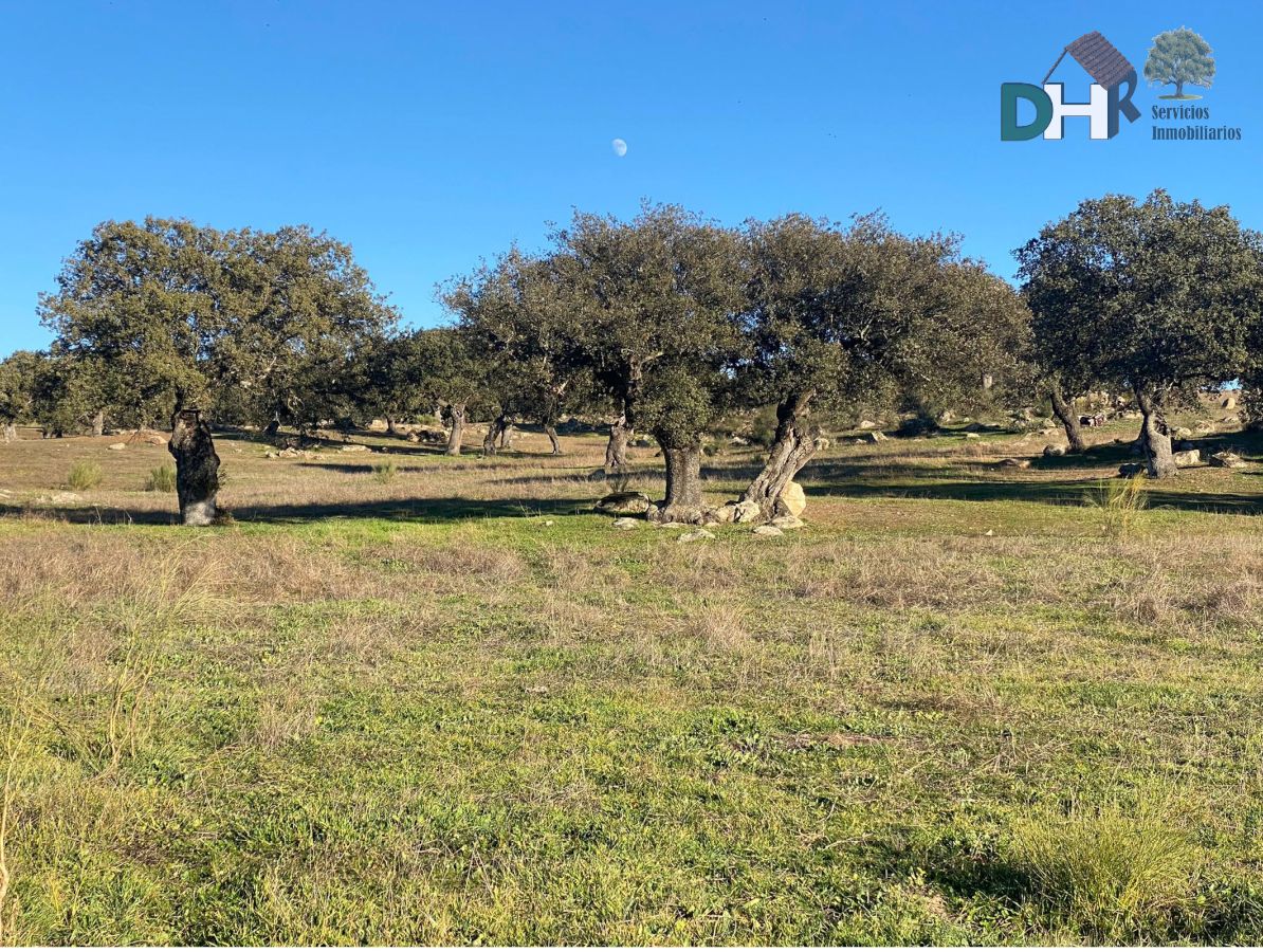 Venta de terreno en Badajoz