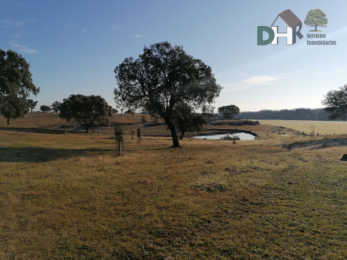 For sale of land in Cáceres