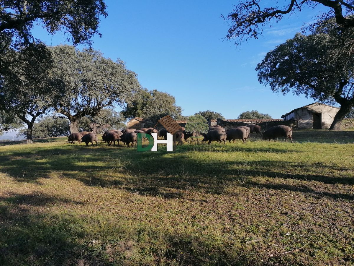 For sale of land in Cáceres