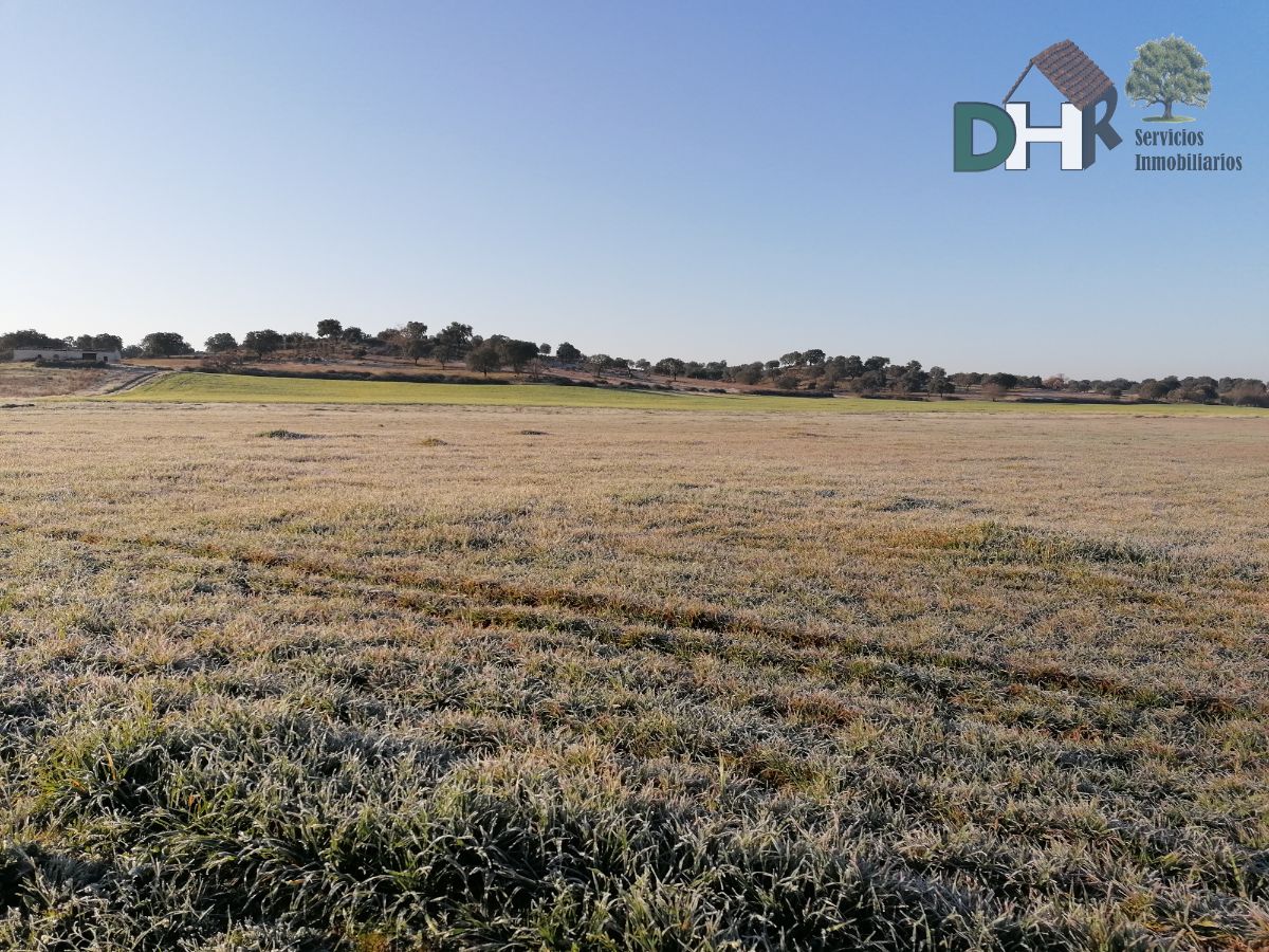 Venta de terreno en Cáceres Venta de terreno en Cáceres