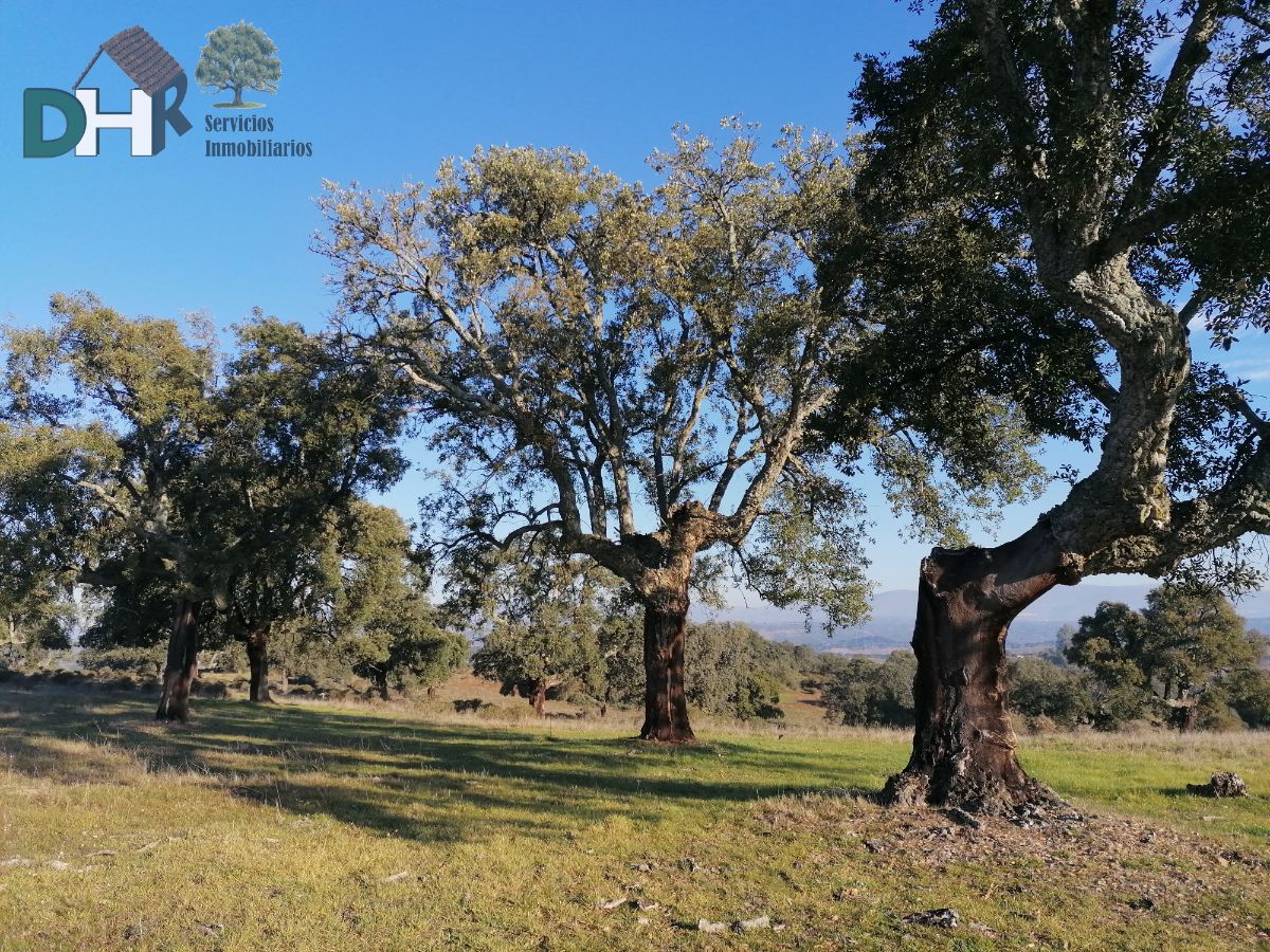 Venta de terreno en Cáceres