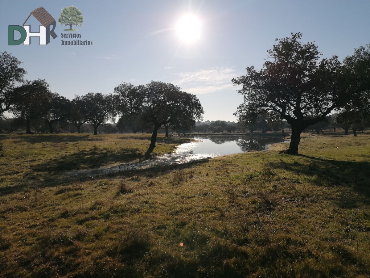 For sale of land in Cáceres