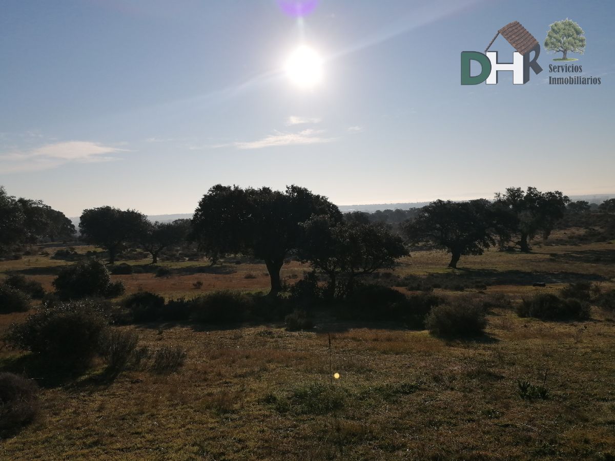 For sale of land in Cáceres