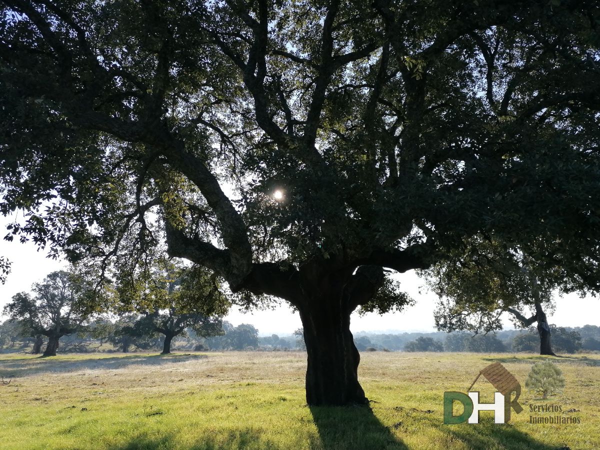 Venta de terreno en Cáceres