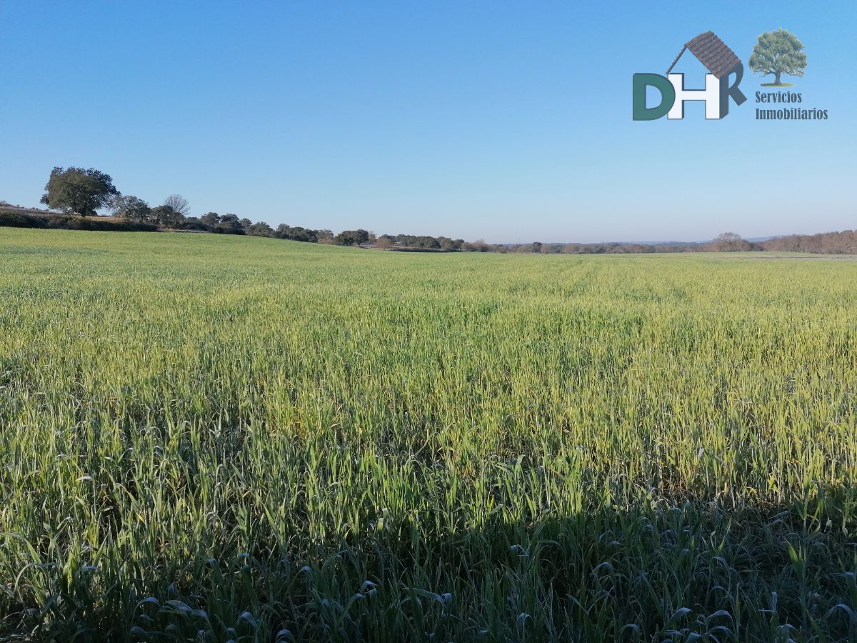 Venta de terreno en Cáceres Venta de terreno en Cáceres