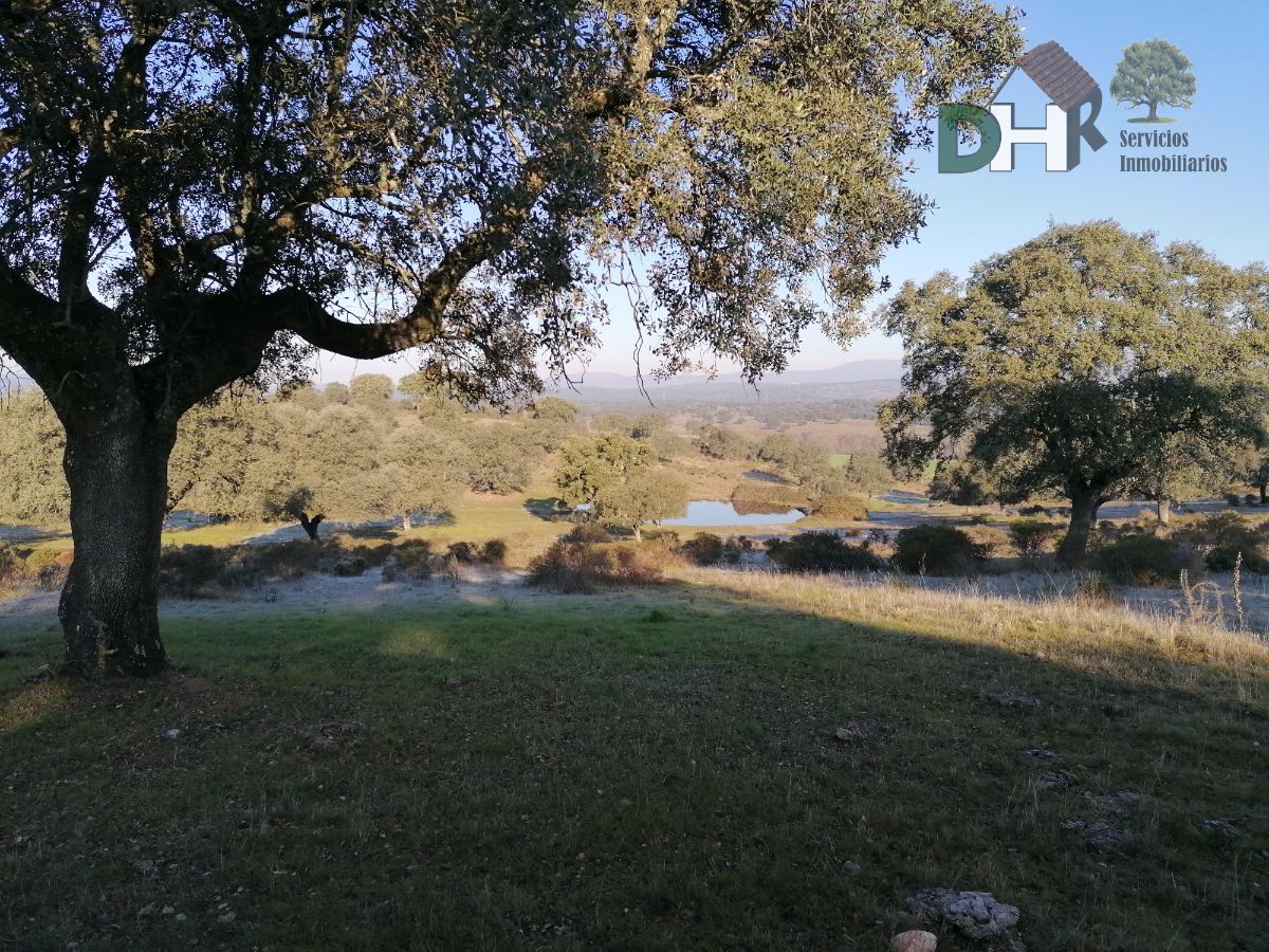 Venta de terreno en Cáceres Venta de terreno en Cáceres