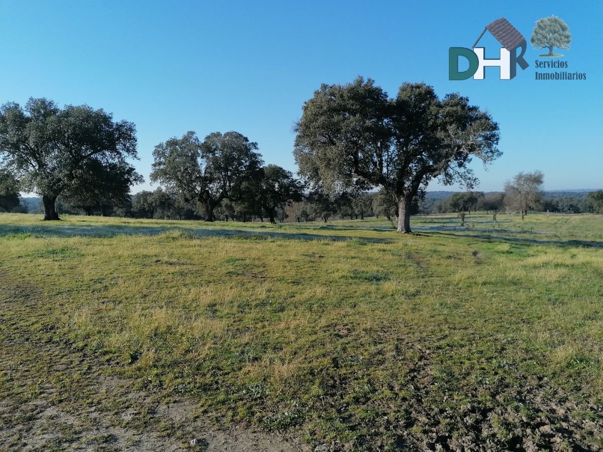 For sale of land in Cáceres