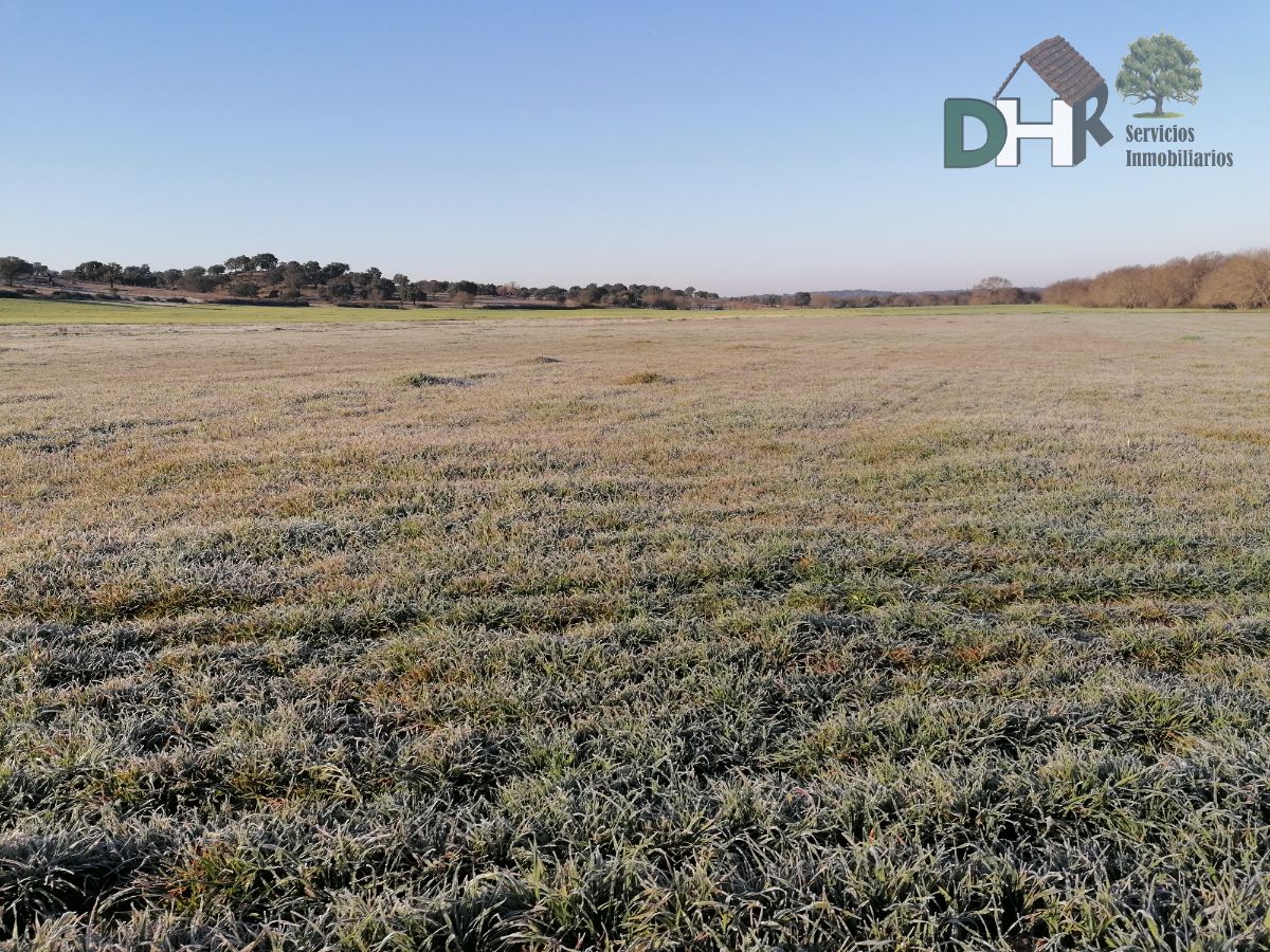 Venta de terreno en Cáceres