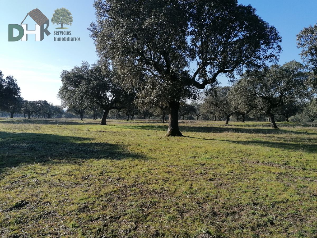 For sale of land in Cáceres