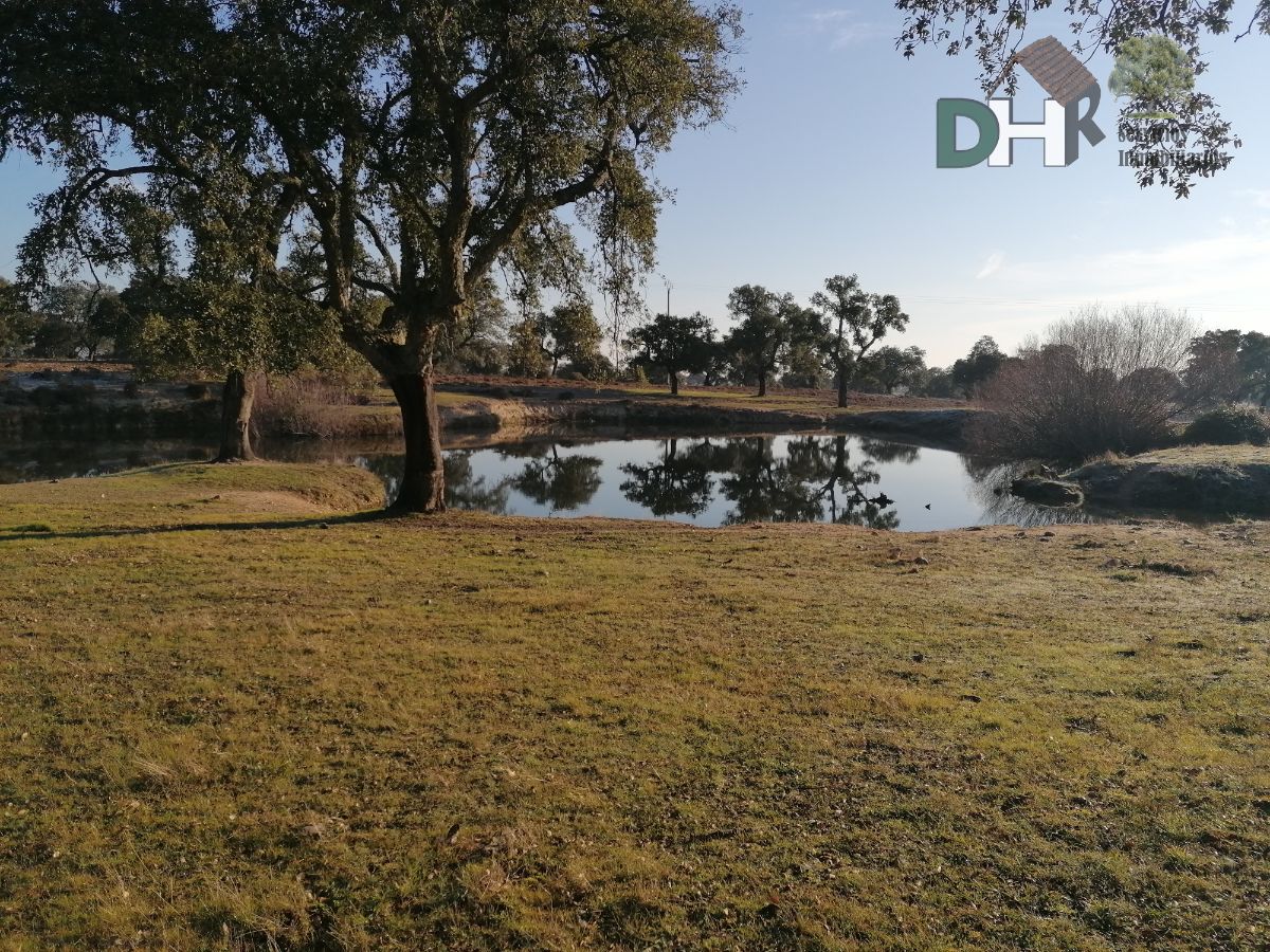 Venta de terreno en Cáceres