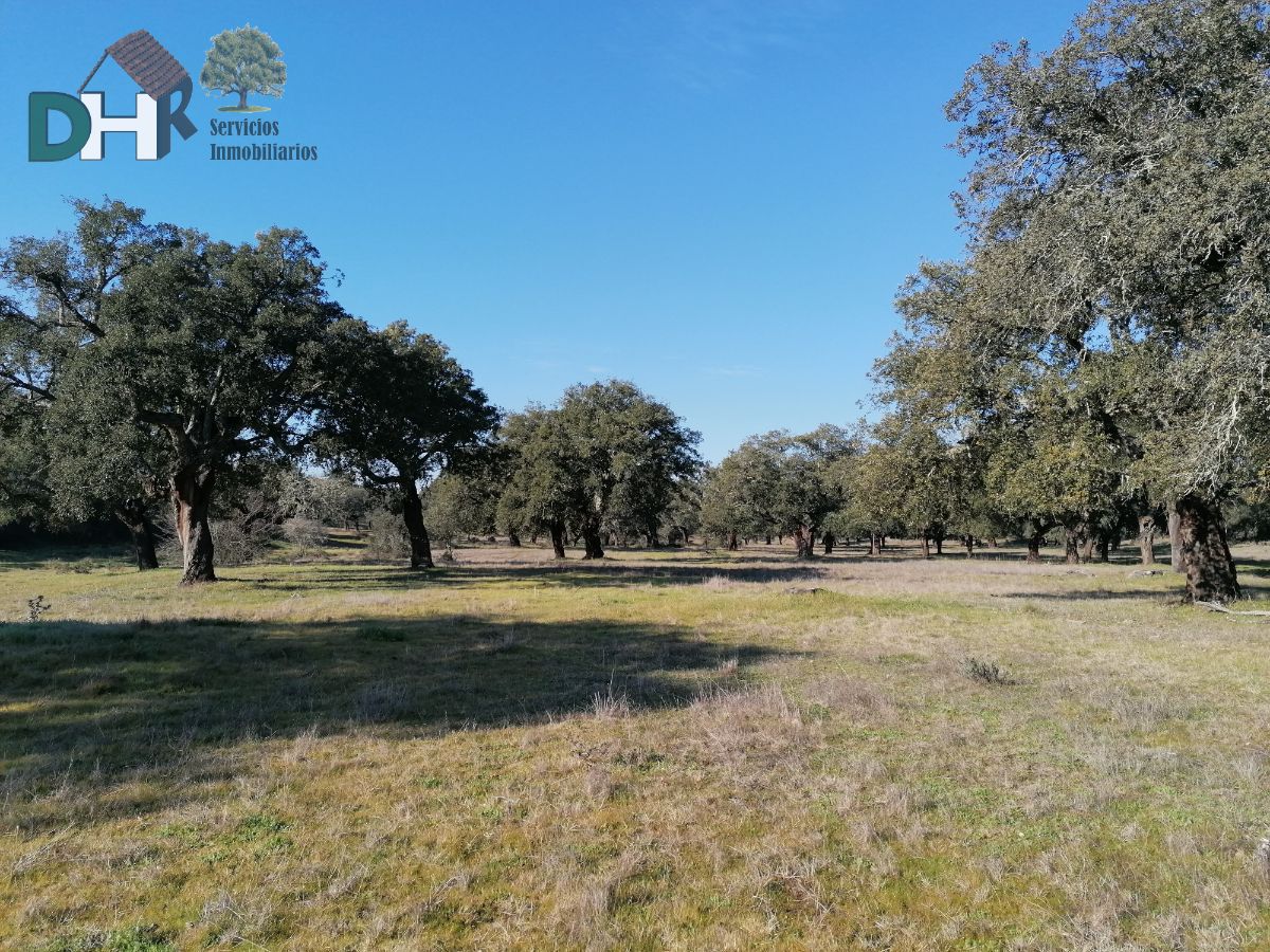 Venta de terreno en Cáceres Venta de terreno en Cáceres